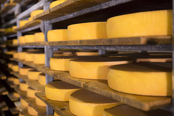 filiere lait domessin Fruitière de Domessin, unité de production d'Agromousquetaires