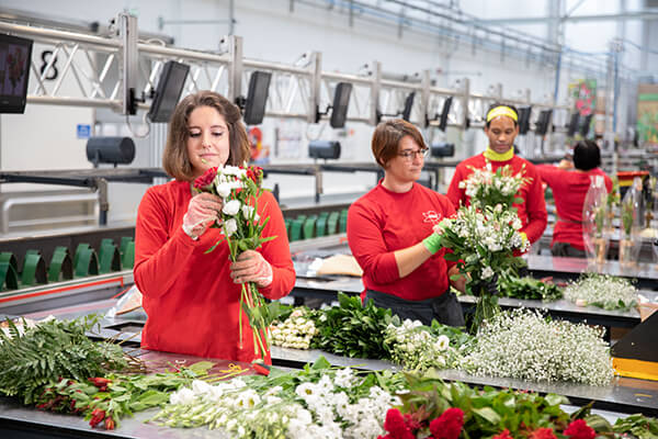 ateliers-de-saint-valentin Agromousquetaires