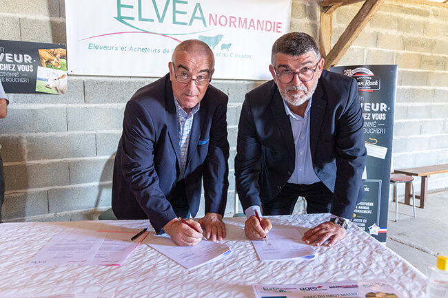 Signature ElveaOP Mousquetaires