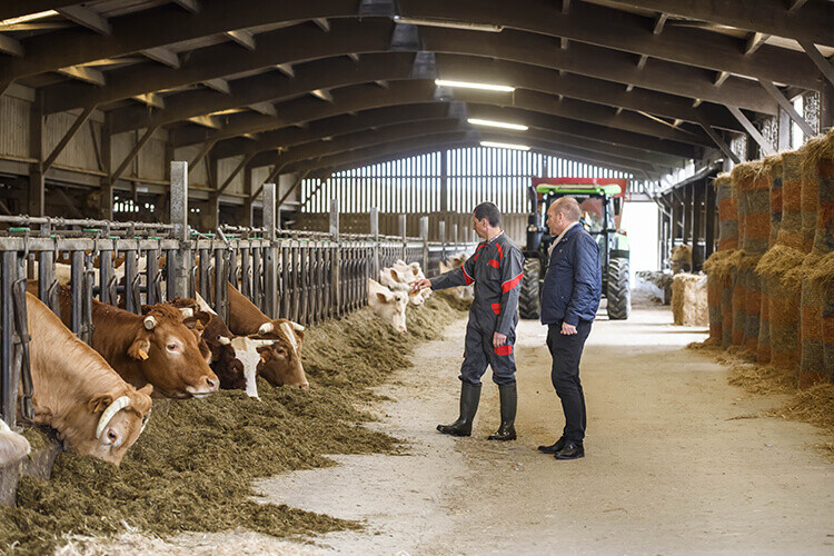 un eleveur pres de chez vous un éleveur près de chez vous